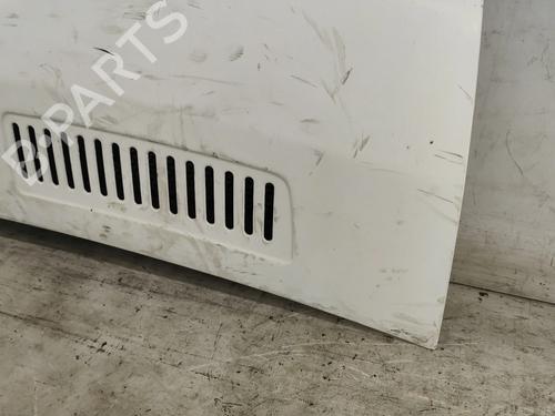 Hood FIAT DUCATO Van (250_) 120 Multijet 2,3 D | BP31687737C1 