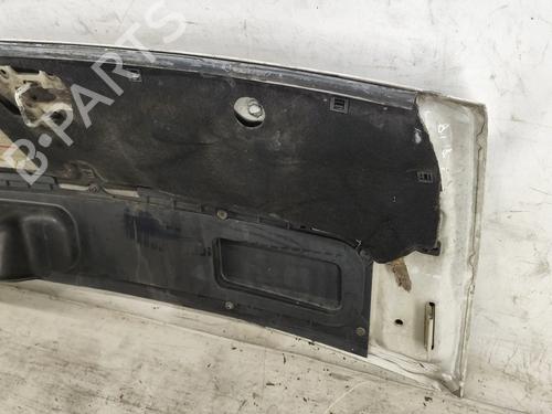 Hood FIAT DUCATO Van (250_) 120 Multijet 2,3 D | BP31687737C1 