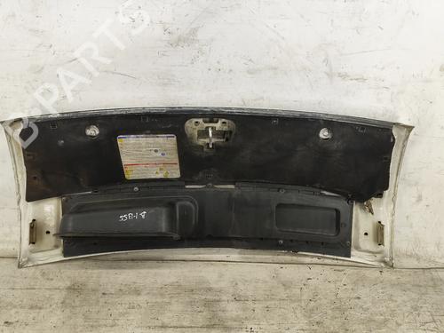 Hood FIAT DUCATO Van (250_) 120 Multijet 2,3 D | BP31687737C1 