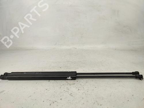 tailgate-lift-support-peugeot-206-2l_-2m_-2009-2010-2011-2012-2013-31278847 main image