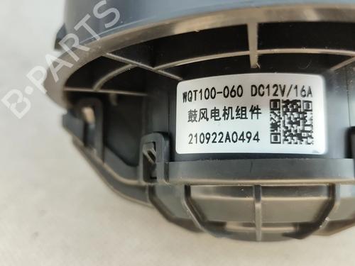 Varmeblæser DACIA SPRING EV (B6M1) | BP31652773M62 