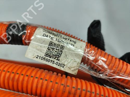 Wiring harness DACIA SPRING EV (B6M1) | BP31652710E16 