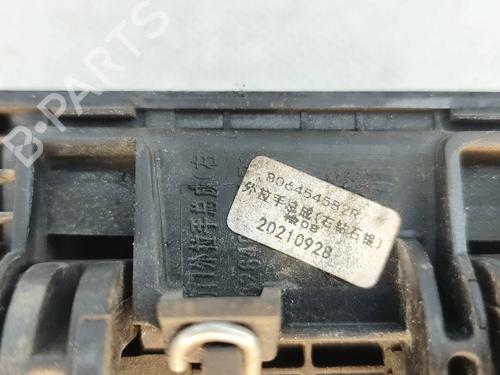 Rear right exterior door handle DACIA SPRING EV (B6M1) | BP31652784C130 