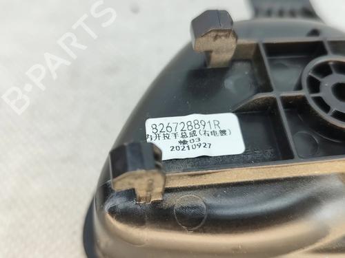 Højre bagtil invendig håndtag DACIA SPRING EV (B6M1) | BP31652788I16