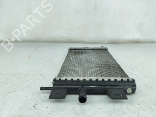 Water radiator DACIA SPRING EV (B6M1) | BP31652738M31