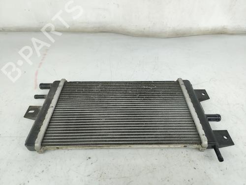 Water radiator DACIA SPRING EV (B6M1) | BP31652738M31