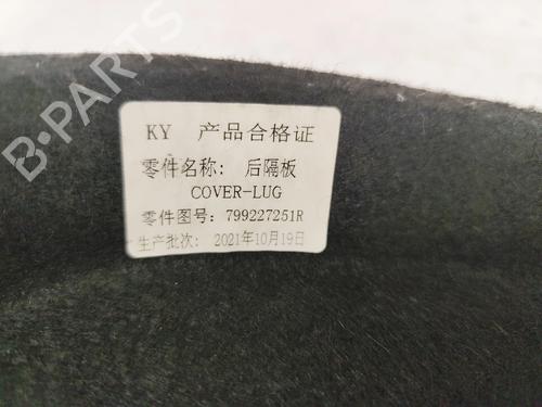 Hattehylde DACIA SPRING EV (B6M1) | BP31652741C85