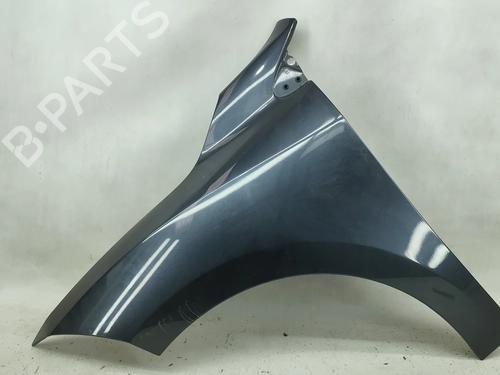 left-front-fenders-renault-megane-iii-hatchback-bz01_-b3_-2008-31759995 main image