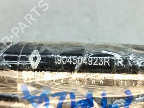 Tailgate lift support DACIA SPRING EV (B6M1) | BP31652854C138 