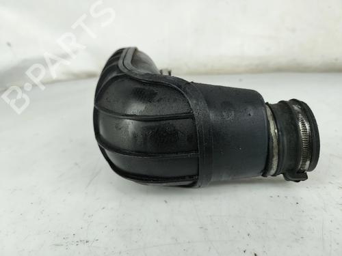 BP31672544M125 main image