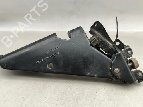hingedoor-check-strap-renault-kangoo-express-fw01_-2008-31760033 main image