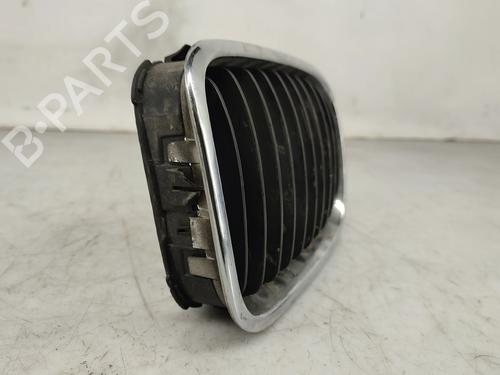 Grill BMW 3 Touring (E46) | BP31832584C40