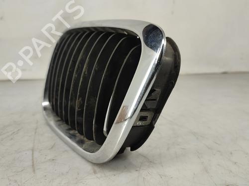Grill BMW 3 Touring (E46) | BP31832584C40