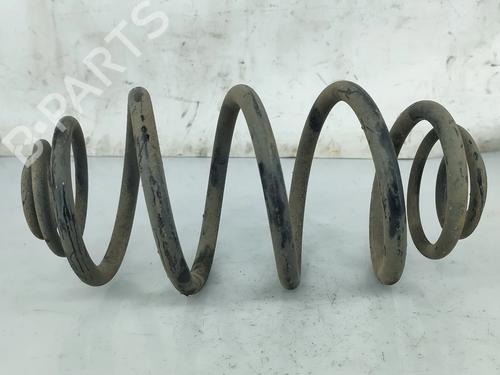 shock-absorber-spring-renault-kangoo-express-fw01_-2008-31902570 main image