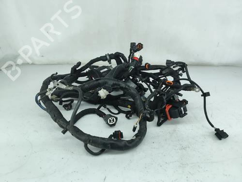 Used Wiring harness Wiring harness VOLVO V70 III (135) D3 / D4 (163 hp) 31918731 31918731