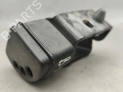 Hinge/Door check strap PEUGEOT 207 (WA_, WC_) 1.4 HDi | BP31953708C146 