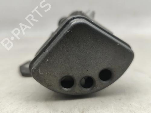 Hinge/Door check strap PEUGEOT 207 (WA_, WC_) 1.4 HDi | BP31953708C146 