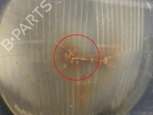 Right headlight BMW 3 (E36) 318 tds | BP31972517C29 