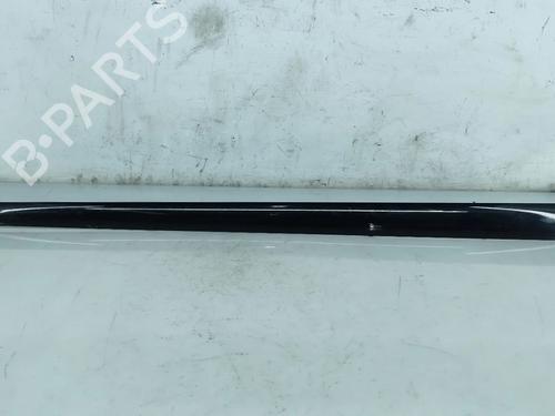 door-moulding-trim-ford-fiesta-v-van-2002-2003-2004-2005-2006-2007-2008-2009-2010-32009827 main image