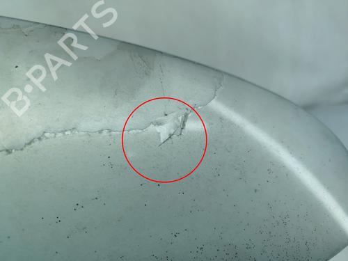 Rear spoiler RENAULT MEGANE II Estate (KM0/1_) 1.5 dCi (KM0F, KM0T, KM2B) | BP32070226C96 