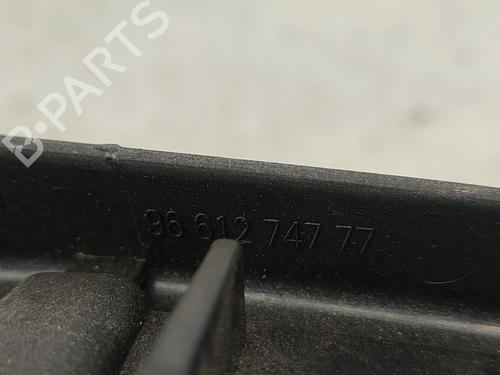 Front left interior door handle PEUGEOT 407 SW (6E_, 6D_) 1.6 HDi 110 | BP31621301I13 