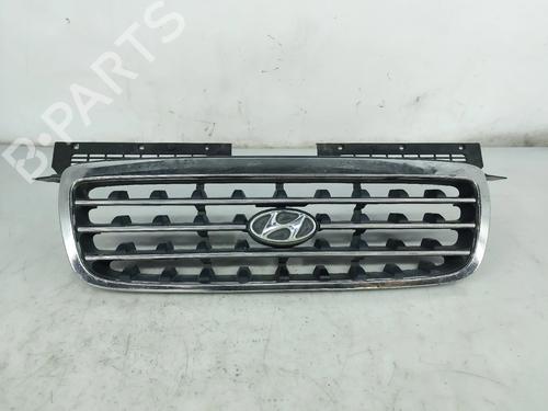 grille-hyundai-trajet-fo-1999-2000-2001-2002-2003-2004-2005-2006-2007-2008-32218162 main image