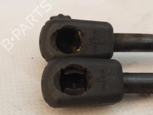 Tailgate lift support BMW 3 Touring (E91) 320 d | BP30649686C138