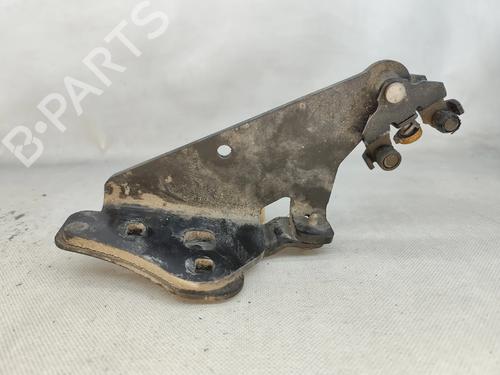 hingedoor-check-strap-renault-kangoo-express-fw01_-2008-32338761 main image