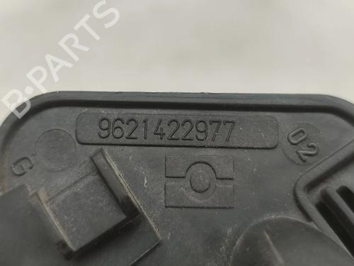 Front left interior door handle PEUGEOT PARTNER Box Body/MPV (5_, G_) 1.8 D | BP32394773I13