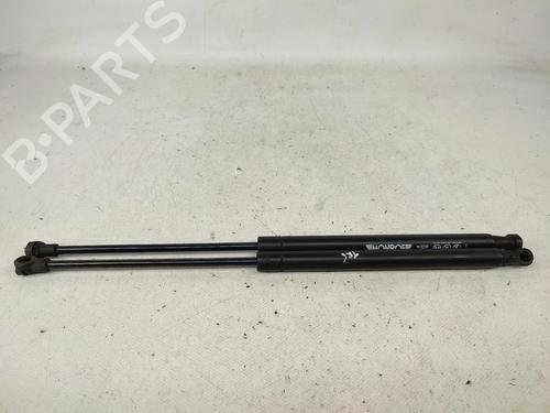 tailgate-lift-support-renault-clio-iii-br01-cr01-2005-2006-2007-2008-2009-2010-2011-2012-2013-2014-31672447 main image