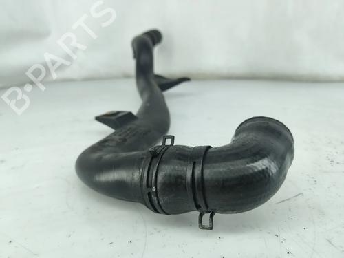  - Image 4