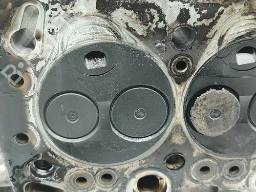  - Image 5