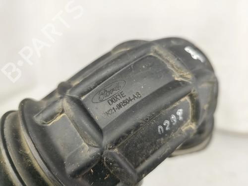 Pipe FORD TRANSIT CUSTOM V362 Van (FY, FZ) 2.0 EcoBlue mHEV | BP32496077M125  - Image 5