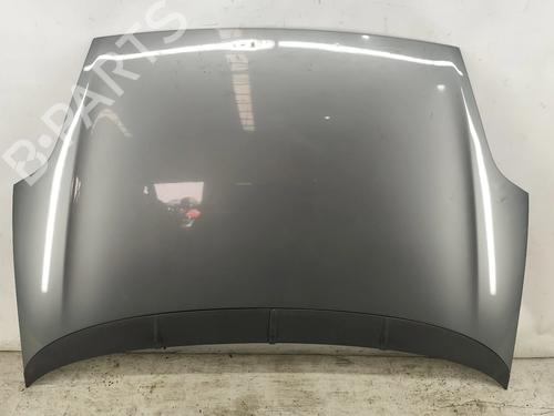 hood-fiat-grande-punto-199_-2005-32731331 main image