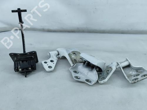 Used Hinge/Door check strap Hinge/Door check strap TOYOTA PROACE CITY Box Body/MPV (BPZ_) 1.5 D-4D 100 (BPZM) (102 hp) 32493310 32493310