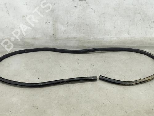 rubber-door-seal-ford-focus-iv-hn-2018-27996633 main image