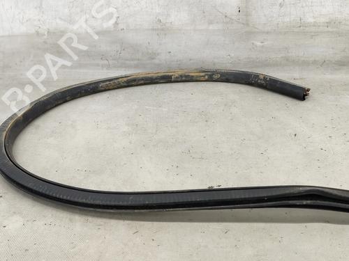 Gummiliste FORD FOCUS IV (HN) 1.0 EcoBoost | BP27996633C142 - Image 7