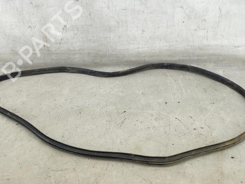 Gummiliste Gummiliste RENAULT SCÉNIC IV (J9_) 1.5 dCi 110 (110 hp) 32484482 32484482