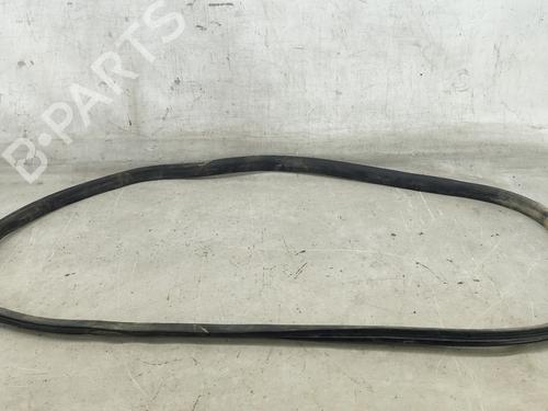 Gummiliste Gummiliste RENAULT SCÉNIC IV (J9_) 1.5 dCi 110 (110 hp) 32484483 32484483