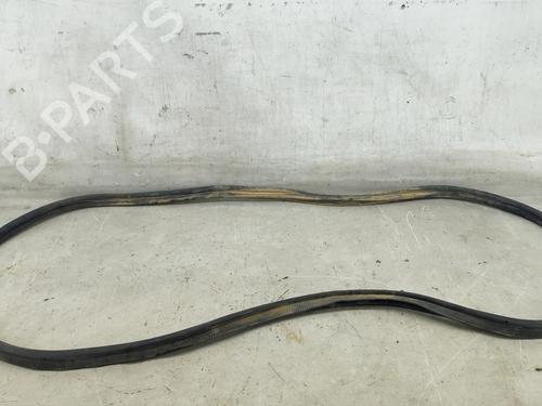 Gummiliste Gummiliste RENAULT SCÉNIC IV (J9_) 1.5 dCi 110 (110 hp) 32484485 32484485