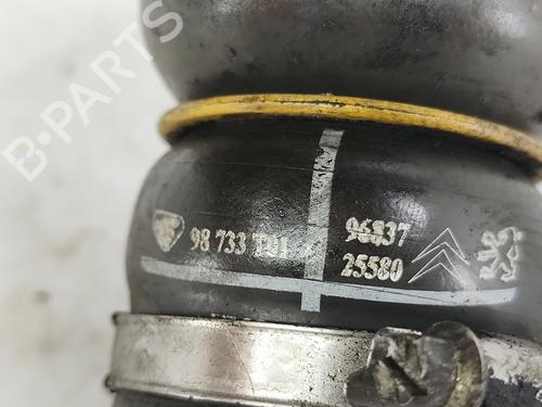 Intercooler pipe CITROËN C4 II (NC_) 1.6 HDi 90 | BP33320541M127 - Image 5