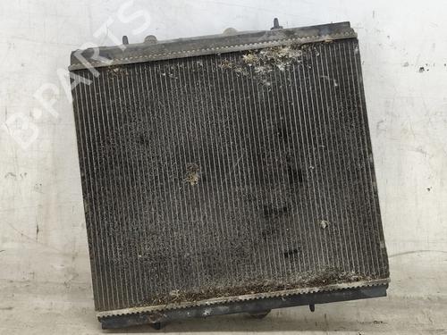 Water radiator PEUGEOT 807 (EB_) 2.2 HDi | BP33438142M31  - Image 6