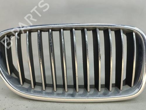 Used Grille Grille BMW 5 Touring (F11) 520 d xDrive (163 hp) 33608252 33608252