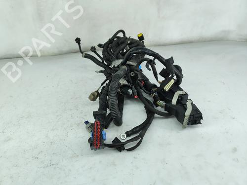 Wiring harness FORD TRANSIT CONNECT V408 Box Body/MPV 1.5 TDCi | BP33695749E16 - Image 3