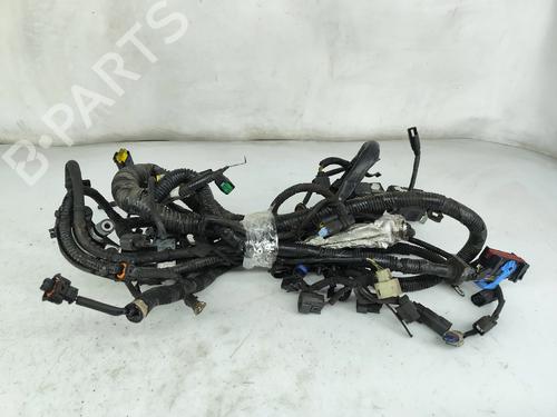 Used Wiring harness Wiring harness FORD TRANSIT CONNECT V408 Box Body/MPV 1.5 TDCi (101 hp) 33695749 33695749