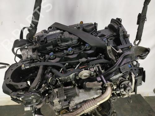 Engine FORD TRANSIT CONNECT V408 Box Body/MPV 1.5 TDCi | BP33769529M1 - Image 5