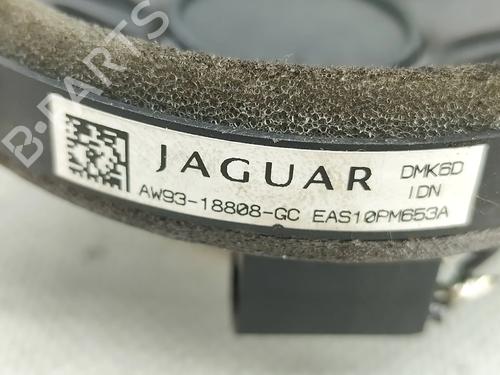  - Image 3