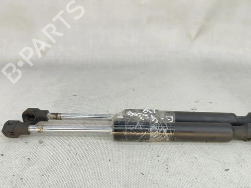 hood-lift-support-renault-zoe-bfm_-2012-33965848 main image