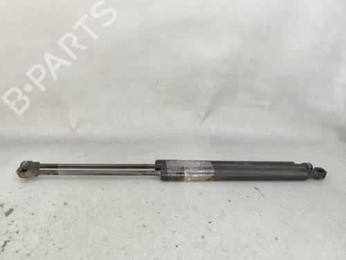 tailgate-lift-support-renault-zoe-bfm_-2012-33965849 main image