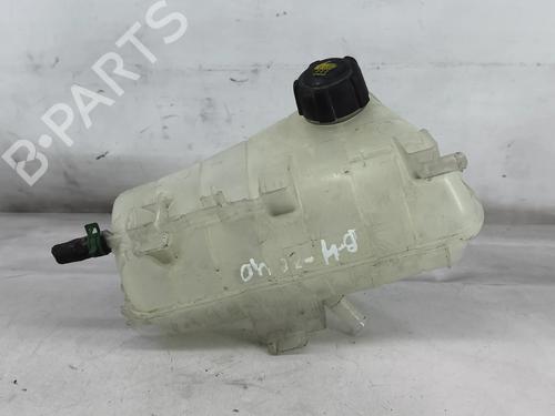 expansion-tank-renault-kangoo-express-fw01_-2008-34350428 main image